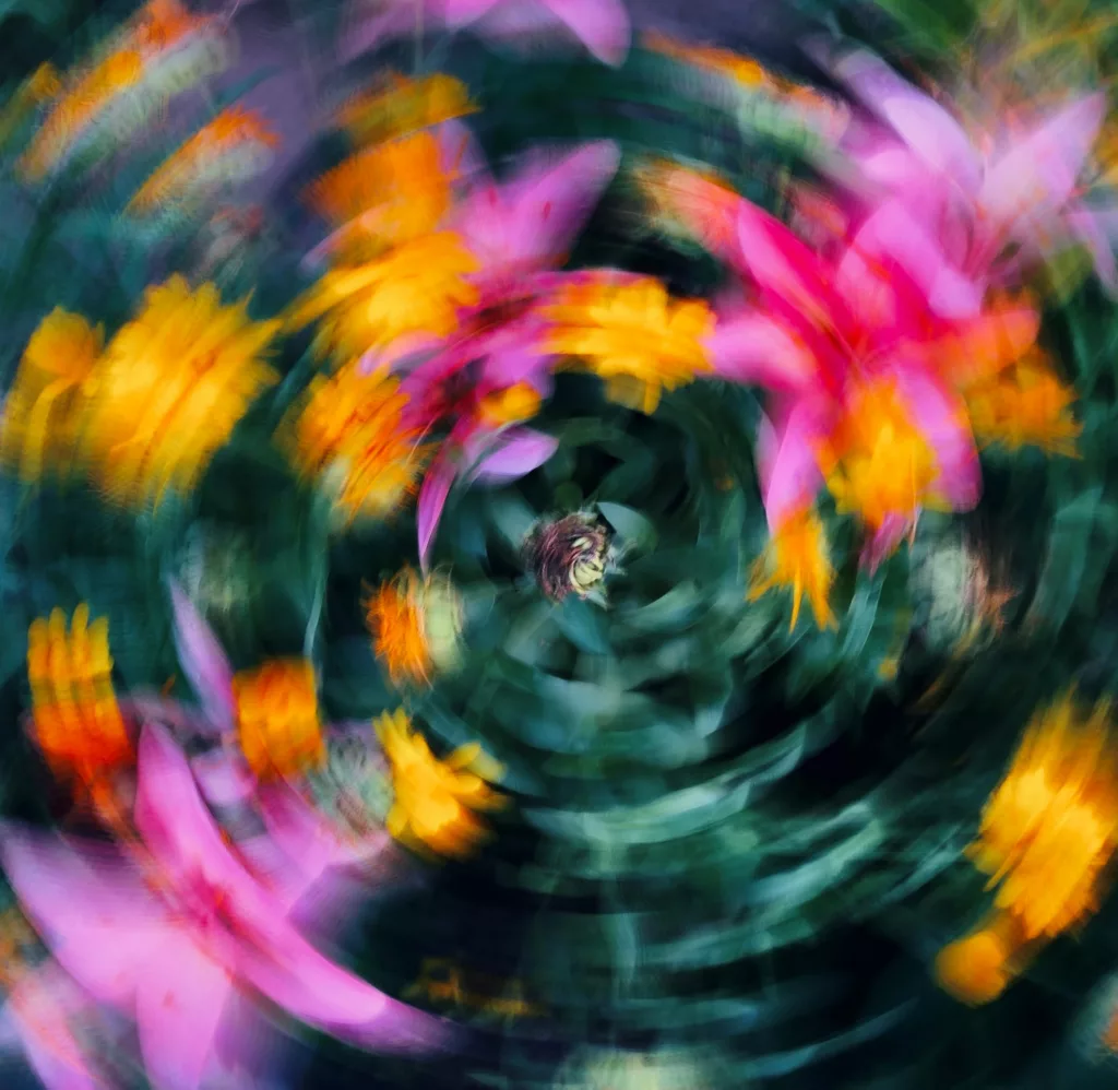 Bloom Theory — Product and Web Design